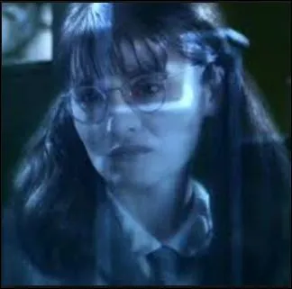 Qui est ce personnage de la saga "Harry Potter" ?