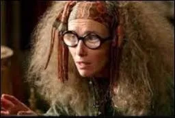 Qui est ce personnage de la saga "Harry Potter ?