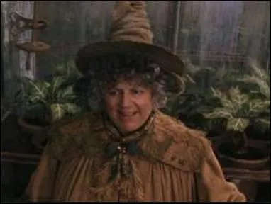 Qui est ce personnage de la saga "Harry Potter" ?