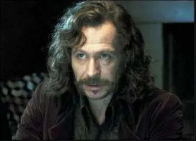 Qui est ce personnage de la saga "Harry Potter" ?