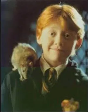 Qui sont ces personnages de la saga "Harry Potter" ?