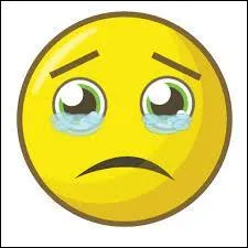 Quel est ce smiley ?