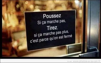 "Il flaire d'instinct le gentilhomme, et lève une famille aristocratique, quelle qu'elle soit, en vrai limier du blason". Que veut dire dans cette phrase le mot "limier" ?