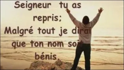 "Ils estiment qu'un milliardaire est trop stupide, pour s'apercevoir qu'on le flagorne". Que désigne le verbe flagorner" ?