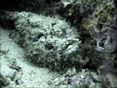 Et ce truc pas beau ?