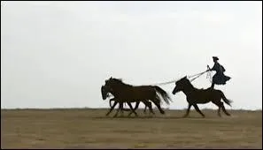 Qui sont les Csikos ?