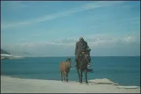 (2 réponses) Les Ouïghours vivent :