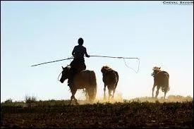 Où vivent les Turkmènes et quelles langues parlent-ils ?