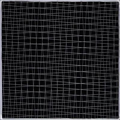 Qui a peint "Deux trames de grillage superposées sur un bois fond noir inclinaison : -4° à 4°" ?