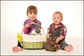 Comment s'appellent-ils ?