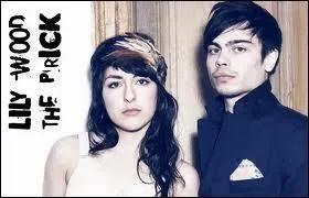 Comment s'appelle le DJ qui a remixé la chanson "Prayer in C" du groupe français Lilly Wood and the Prick ?