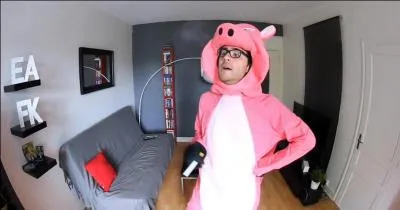 Quelle vidéo a eu le plus de succès ?