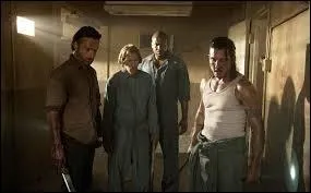 Comment se nomment-ils ?