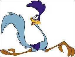Comment s'appelle l'oiseau qui a inspiré la création du personnage Bip-Bip dans le cartoon "Bip-Bip et Coyote" ?