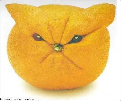 Et je répète pour les sourds : Si vous obtenez zéro à ce quiz :