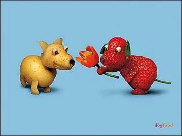 Si vous faites une remarque agressive à chaque question de mon quiz, pitié arrêtez de me harceler !