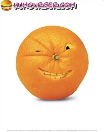 Quel est le secret pour créer un quiz dynamique ?