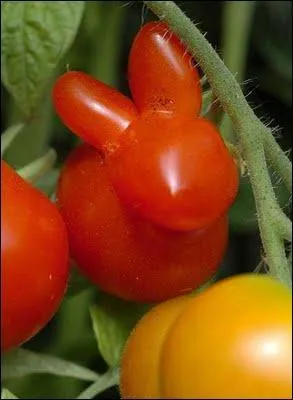 J'attends mon ami depuis deux heures, et ça me court sur le haricot !