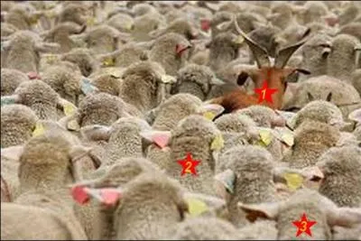 Une seule habite avec monsieur Seguin. Quel est le bon numéro ?