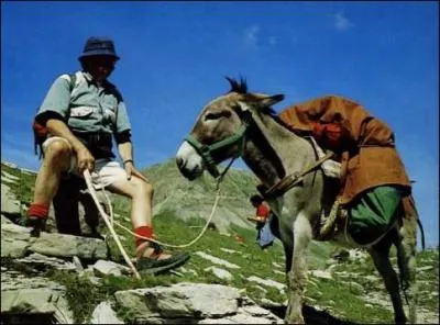 Que signifie l'expression : " Un âne ne trébuche jamais deux fois sur la même pierre, " ?