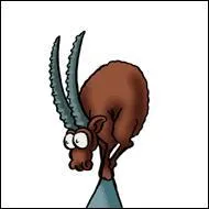 Les signes zodiacaux sont au nombre de ........ .