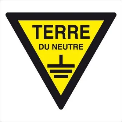 Quelles sont les terminaisons des noms neutres au singulier ?