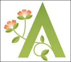 Quelles sont les terminaisons de la première déclinaison au singulier ?