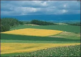 Pour le nom masculin "ager, agri", les terminaisons du singulier sont :