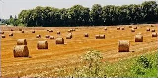 Pour ce même nom, celles du pluriel sont :