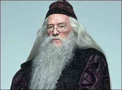 Comment s'appelle le directeur de Poudlard ?