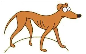 Comment s'appelle le chien ?