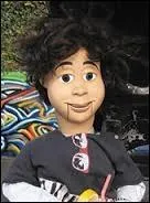 Quelles sont les caractéristiques de Rex ?