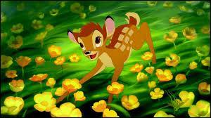 Au début du dessin animé, quand Bambi naît, qui demande à la biche le nom de son faon ?