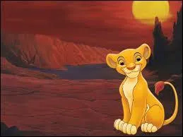Chanson résonnant pour célébrer la naissance d'un petit lionceau, son prénom signifie "lion" en swahili :