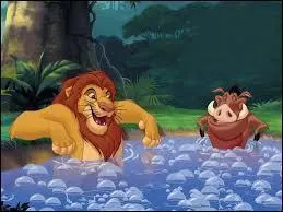 Le jeune lion n'a plus la force de se battre, emprisonné par la culpabilité dans la mort de son père. Il verra le fantôme de son père qui lui dira de se battre, grâce au sage du village que l'on appelle :