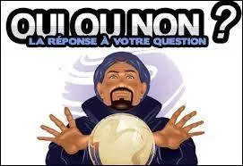 Si oui, doivent-ils être sur le thème du site ?