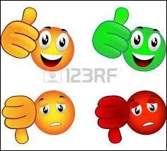 Peut-on avoir un résumé et un passage du livre ?