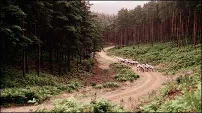 Combien de temps ont-ils pour atteindre le haut de la colline ?