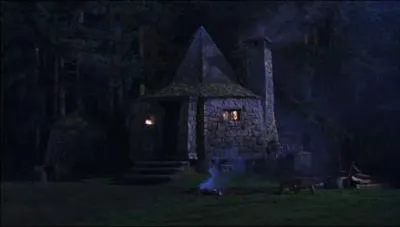 De quel film est issue cette image ?