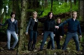 De quel Twilight provient cette image ?