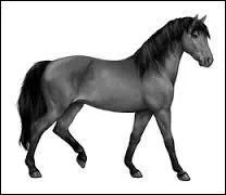 Je suis un cheval aux extrémités et aux crins noirs et je suis couvert de poils gris uni, donc, bien sûr, je suis de robe :