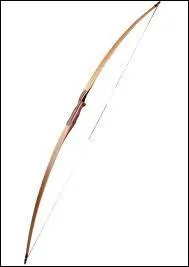 Combien existe t'il de types d'arcs ?