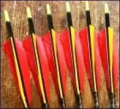 Comment nomme t'on les 3 parties colorées que l'on peut voir sur ces flèches ?