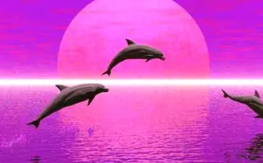 Quiz Dauphins