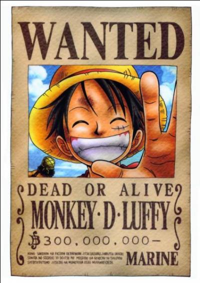 À combien s'élève la première prime de Luffy ?