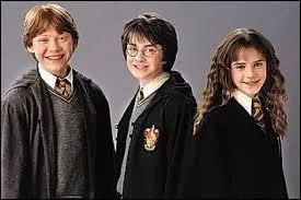 Qui est l'héritier de Serpentard ?