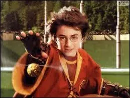 Dans le film "Harry Potter et le prisonnier d'Azkaban", pour qui Harry se fait-il passer dans le Magicobus ?