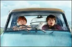 Citez toute la famille de Ronald Weasley.