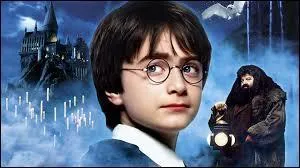 Comment s'appelle l'animal de compagnie de Dumbledore ?