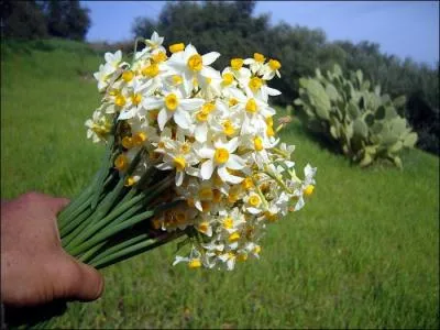 Que va-t-on offrir à sa maman pour la fête des mères ?